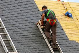 Best Emergency Roof Repair Services  in Mountain Lake, MN